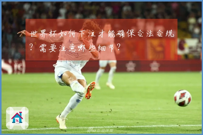 世界杯如何下注才能确保合法合规？需要注意哪些细节？