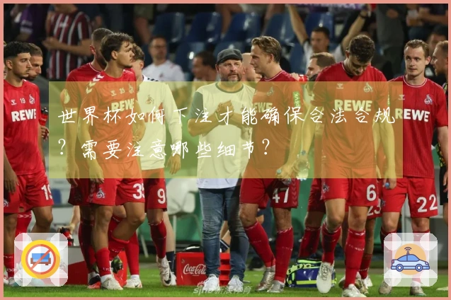 世界杯如何下注才能确保合法合规？需要注意哪些细节？